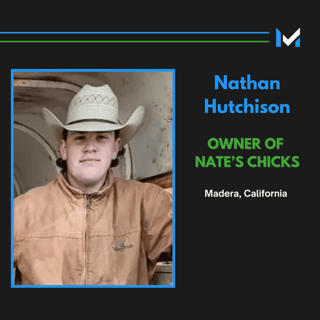 Nate's Chicks